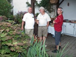  Kakteenhock bei Meier 2011